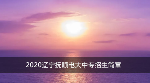 2020辽宁抚顺电大中专招生简章