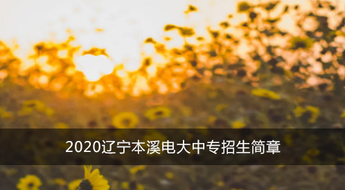 2020年辽宁本溪电大中专招生简章