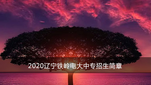 2020年辽宁铁岭电大中专招生简章