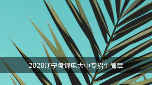 2020年辽宁盘锦电大中专招生简章