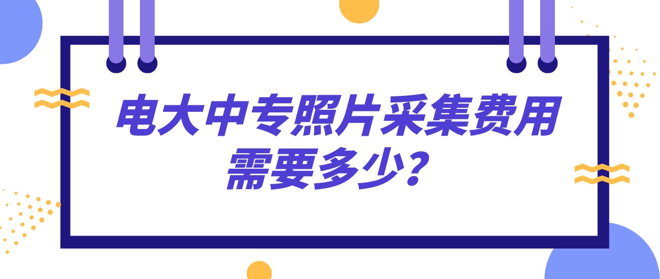 电大中专照片采集费用需要多少？