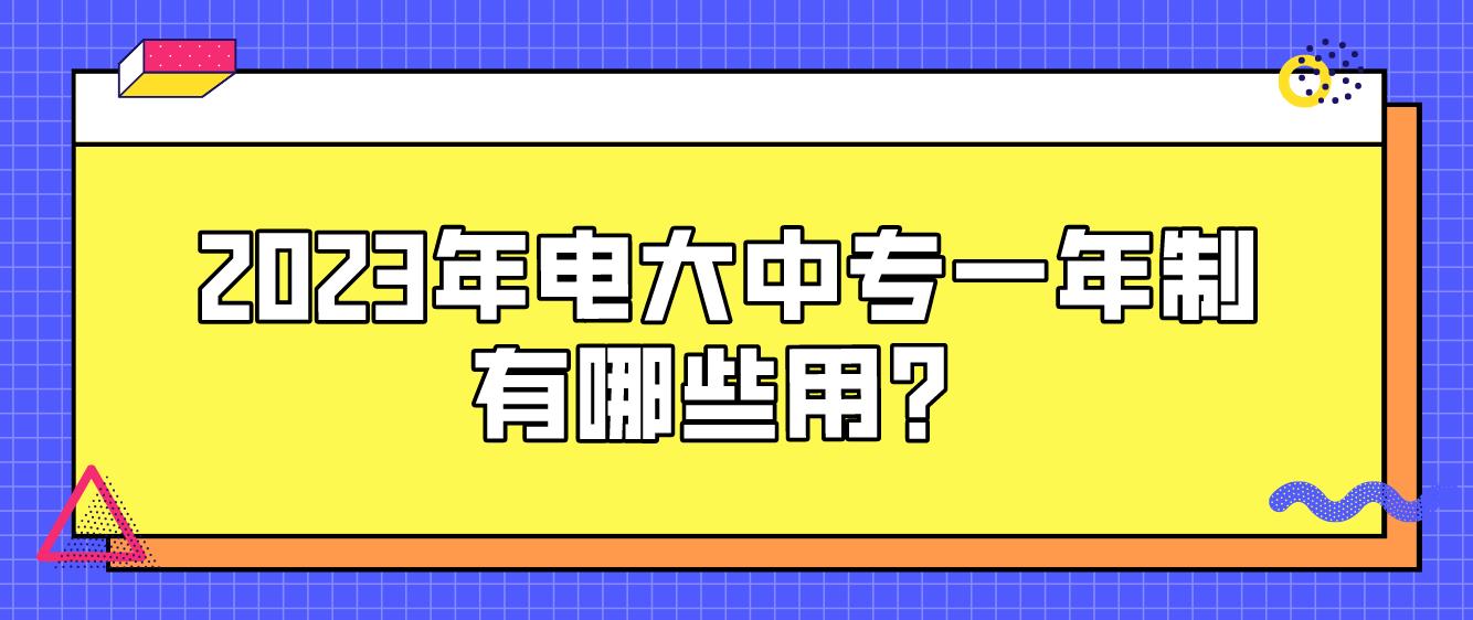 2023年电大中专一年制有哪些用？