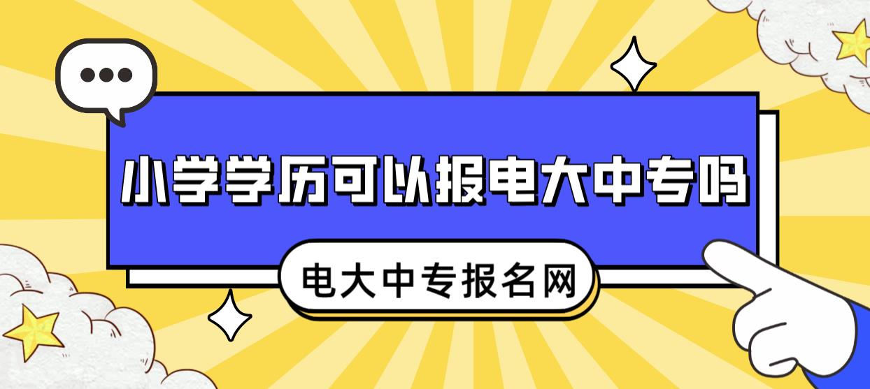 小学学历可以报电大中专吗？