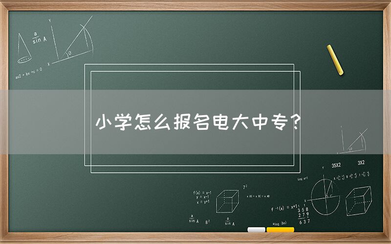 小学怎么报名电大中专？(图1)